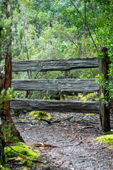 Timber fence is the sunshine on the Platypus Bay track, Cradle Mountain - Lake St Clair National Park, Tasmania, Australia