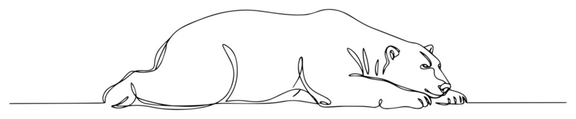 sleeping polar bear line art illustration