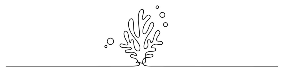 water splash rising up