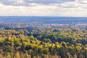 Aerial view at a forest landscape in autumn colors