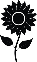 sunflower vector illustration on transparent background