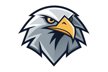 Fierce eagle head showcases a determined glare and majestic plumage in captivating detail