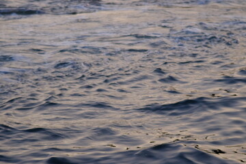 blurry blue ocean