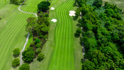 Aerial top view golf course with lush greens, green fairway and sand bunker, Golf course green...