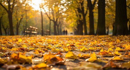 Autumnal Park Pathway with Golden Leaves and Sunlight