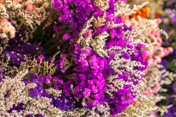 Bouquets of colorful meadow flowers as a background