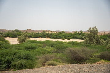 Dry river bed in a rural area outside of Massawa, Eritrea