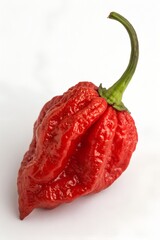 carolina reaper pepper isolated on white