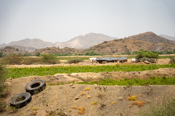Makeshift shelter on the side of the highway in Eritrea