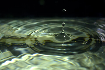 Gouttes d'eau dans un bassin aquarium