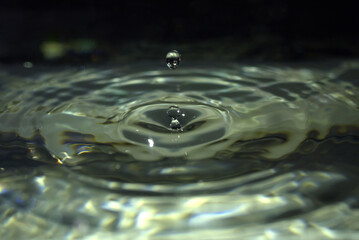 Gouttes d'eau dans un bassin aquarium