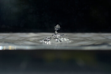 Gouttes d'eau dans un bassin aquarium