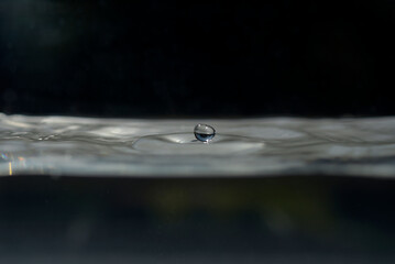 Gouttes d'eau dans un bassin aquarium