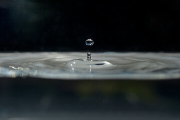 Gouttes d'eau dans un bassin aquarium