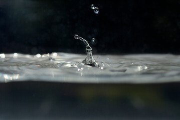 Gouttes d'eau dans un bassin aquarium