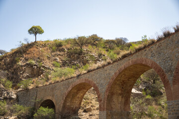 Solitary tree on a hill above a railway bridge outside of Asmara, Eritrea