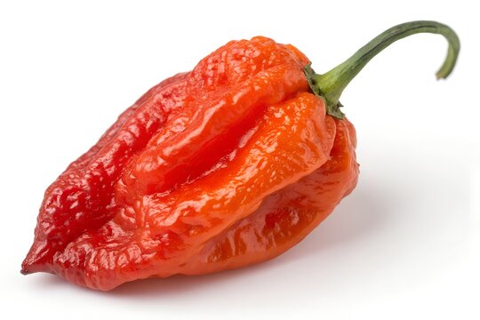 spicy ghost pepper isolated on white background