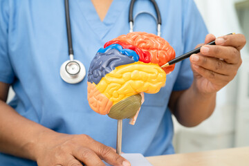 Alzheimer disease, Asian doctor holding brain anatomy model for study diagnosis and treatment in...