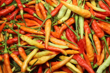 Colorful assortment of fresh chili peppers in red, orange, and green, perfect for spicy culinary...