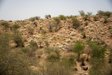 Arid hills near Massawa, Eritrea