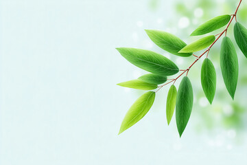 Fototapeta premium A leafy green branch with a leafy green stem