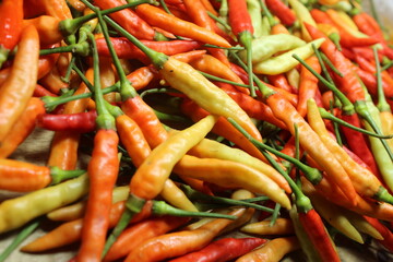 Colorful assortment of fresh chili peppers in red, orange, and green, perfect for spicy culinary...