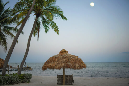 Chairs palm trees tiki and moon Florida Keys resort