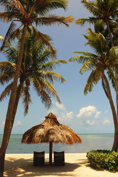 Palm trees chairs tiki hut vibrant blue skies and water Florida