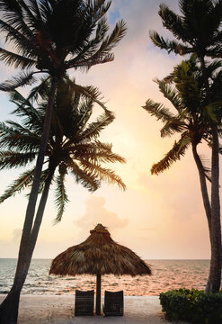 Tiki hut between palm trees at sunset Gulf of Mexico Florida Key