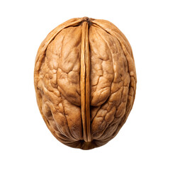 Obraz premium Close up of a single walnut shell on a plain solid color canvas view on transparent background.