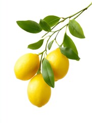 Fresh lemons on a branch with green leaves. Bright yellow citrus fruits symbolize health and freshness. Perfect for cooking, beverages, or natural décor. Brighten your culinary experience. AI
