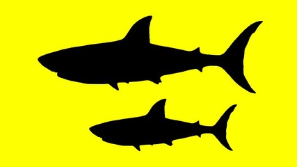 Swimming shark silhouette on a yellow background – perfect for ocean-themed, underwater, or cinematic projects.