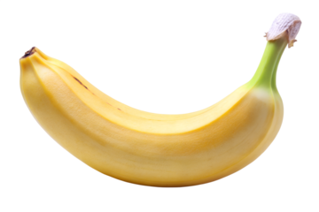 Ripe yellow banana fruit nutrition source healthy food potassium rich on transparent background.