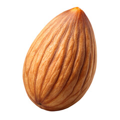 Close up of a single almond nut healthy food snack organic ingredient on transparent background.