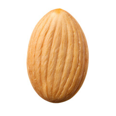 Close up of a single almond kernel for snack food and healthy eating on transparent background.