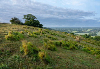 landscape of north downs near ashford and wye valley in english county of kent on early summer...