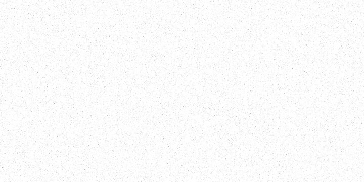 White and black particles dust noise paper texture background and terrazzo flooring texture polished stone pattern. Quartz surface white for bathroom or kitchen sandstone small have mixed sand tile. - Powered by Adobe