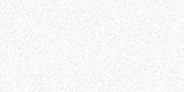 White and black particles dust noise paper texture background and terrazzo flooring texture polished stone pattern. Quartz surface white for bathroom or kitchen sandstone small have mixed sand tile.