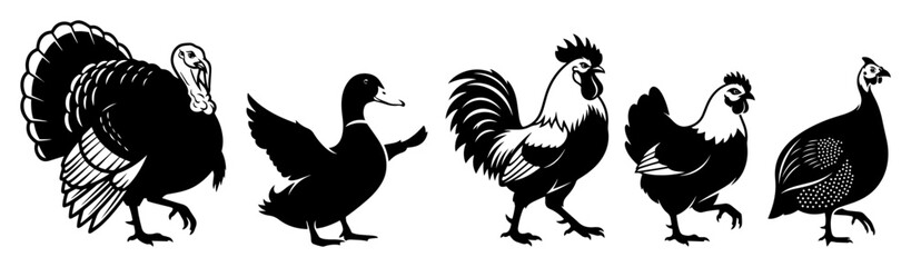 farm birds silhouette set poultry icon vector illustration