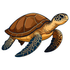 Obraz premium Detailed vector illustration of a sea turtle, rendered with bright highlights and dark shadows, isolated against a clean white background.