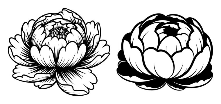 peony flower illustration vintage floral tattoo set