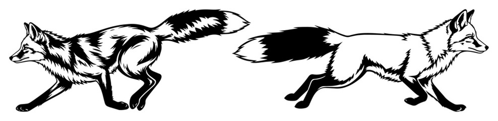 Obraz premium running fox silhouette and line art set vector