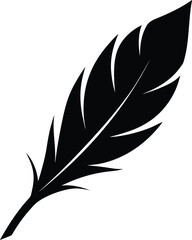 Obraz premium feather vector illustration