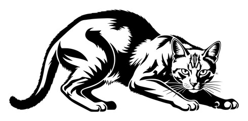 crouching cat in hunting pose vector illustration logo © Camel