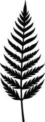 Naklejka premium Fern leaf black silhouette vector art and illustration