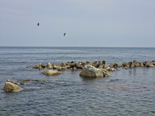 South Korea, Yeongdeok sea, beautiful coast, clear and clean seascape, sky, sea, seagull background - 한국, 영덕의 바다, 아름다운 해안가, 맑고 깨끗한 바다 풍경, 하늘, 바다, 갈매기 배경