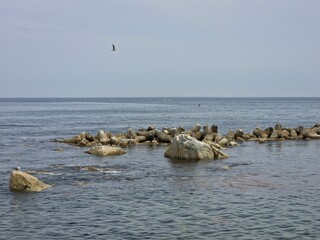 South Korea, Yeongdeok sea, beautiful coast, clear and clean seascape, sky, sea, seagull background - 한국, 영덕의 바다, 아름다운 해안가, 맑고 깨끗한 바다 풍경, 하늘, 바다, 갈매기 배경