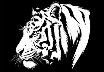 A striking white tiger head illustration, rendered in high contrast against a solid black background.