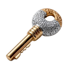 Elegant and Unique Gold and Silver Key with Intricate Textures and Designs Perfect for Symbolizing Access and Opportunity