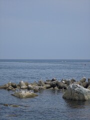 South Korea, Yeongdeok sea, beautiful coast, clear and clean seascape, sky, sea, seagull background - 한국, 영덕의 바다, 아름다운 해안가, 맑고 깨끗한 바다 풍경, 하늘, 바다, 갈매기 배경